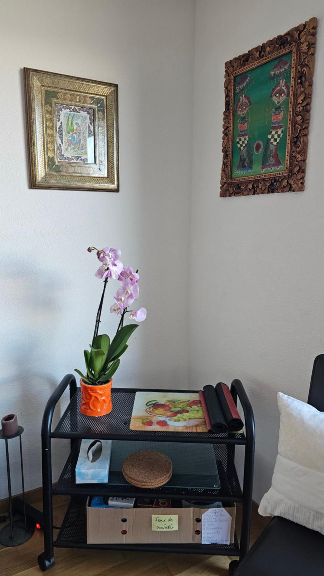 Appartement Meuble A Louer A Nax Екстер'єр фото